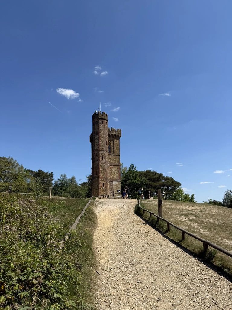 Leith Hill Tower